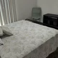 Coliving in San Marco - Southside, Jacksonville