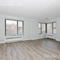 1 bedroom apartment for rent in South Shore - South Side, Chicago