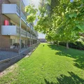 Studio Apartment for rent in Westminster - Outer Denver, Denver