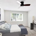 Studio Apartment for rent in Westminster - Outer Denver, Denver