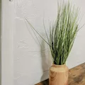Coliving in Kenwood - Clearwater-St. Petersburg, Tampa
