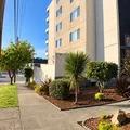 2 bedrooms apartment for rent in University District - North Seattle, Seattle