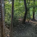 Coliving in Capitol Drive - West Charlotte, Charlotte