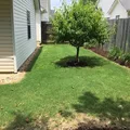 Coliving in Kennesaw - North Atl, Atlanta