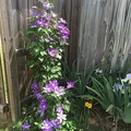 Coliving in Kennesaw - North Atl, Atlanta