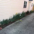 Coliving in Kennesaw - North Atl, Atlanta