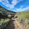 Coliving in Desert View - Phoenix, Phoenix