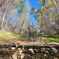 Coliving in Desert View - Phoenix, Phoenix