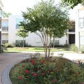 1 bedroom apartment for rent in Northwood Hills - Ne Dallas, Dallas