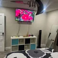 Coliving in Boca Raton - Palm Beach County, Miami