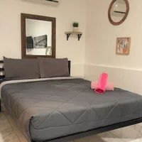 Coliving in Little Haiti - Miami, Miami