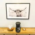 Coliving in Hope Valley - Durham, Raleigh