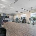 1 bedroom apartment for rent in Hyde Park Tampa - Central Tampa, Tampa