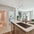 1 bedroom apartment for rent in Hyde Park Tampa - Central Tampa, Tampa