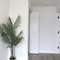 Coliving in Kenwood - Clearwater-St. Petersburg, Tampa