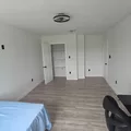 Coliving in Coliseum Willow Park - East SATX, San Antonio
