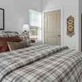 1 bedroom apartment for rent in Kyle - South Austin, Austin