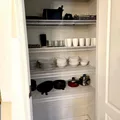 Coliving in Kissimmee - South Orlando, Orlando