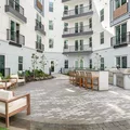 1 bedroom apartment for rent in Hyde Park Tampa - Central Tampa, Tampa