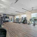 1 bedroom apartment for rent in Hyde Park Tampa - Central Tampa, Tampa
