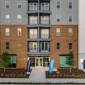 1 bedroom apartment for rent in Hyde Park Tampa - Central Tampa, Tampa